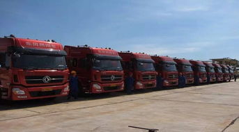 對(duì)不起,深圳人,這次你又被平均了